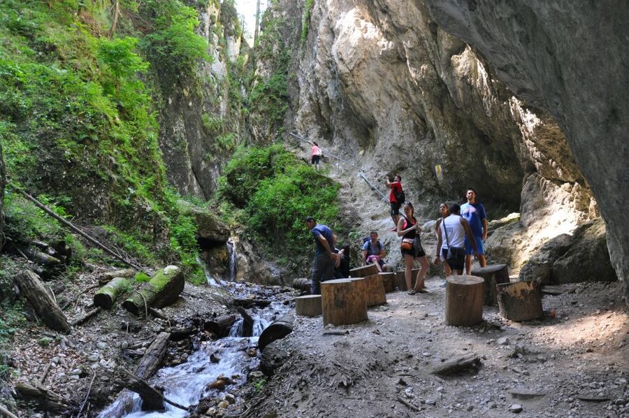 Brasov: Small-Group 7 Ladders Canyon Day Trip - The 45-minute walk through forest and meadow