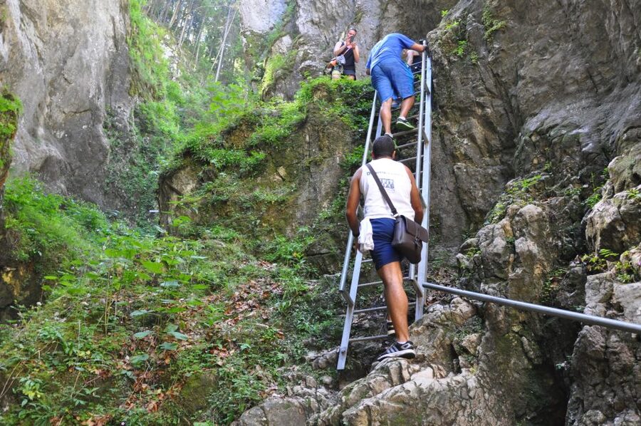 Brasov: Small-Group 7 Ladders Canyon Day Trip - Climbing the seven ladders beside the waterfalls