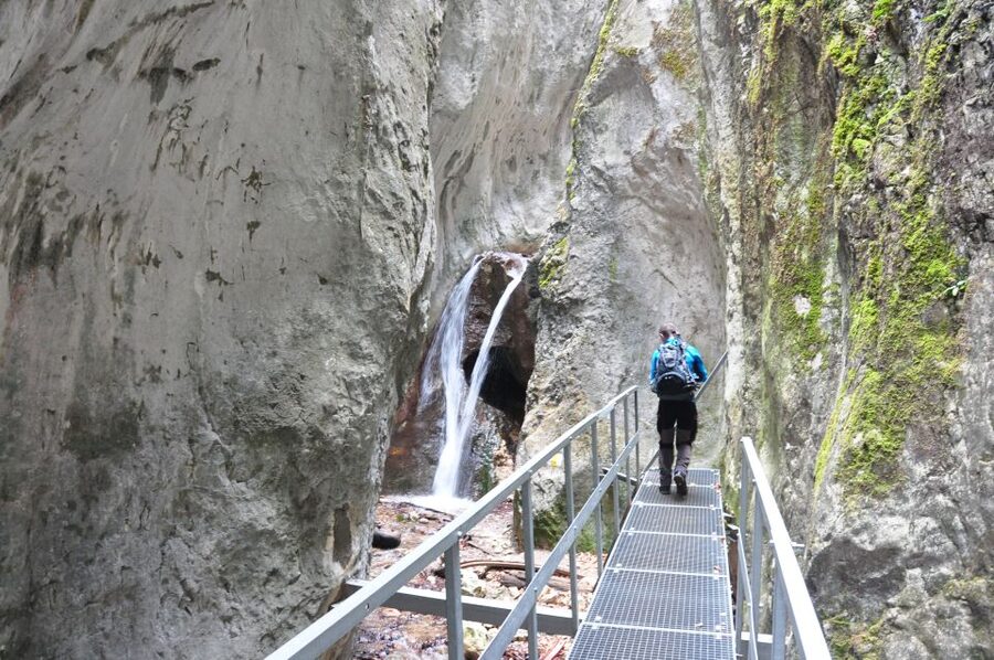 Brasov: Small-Group 7 Ladders Canyon Day Trip - The Bear Wall side trail and off-route scenery