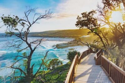 Brisbane to North Stradbroke Island Day: Wildlife & Beaches