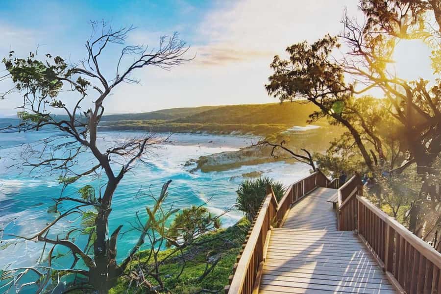 Brisbane to North Stradbroke Island Day: Wildlife & Beaches - Starting in Brisbane and crossing Moreton Bay