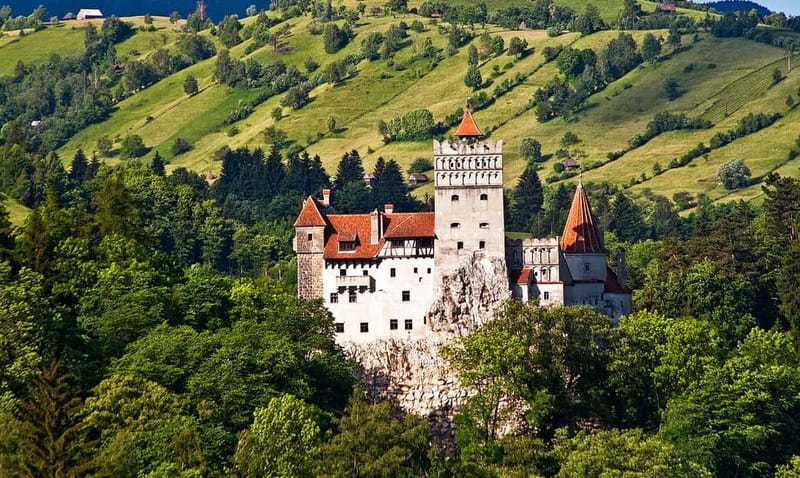 Bucharest: Day Trip to Bear Sanctuary, Bran Castle & Brasov - Libearty Bear Sanctuary: the reason to go