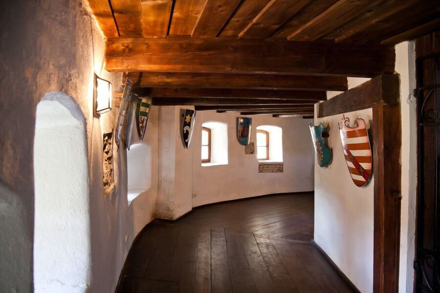 Bucharest: Day Trip to Dracula Castle, Peles Castle & Brașov - The guide can make or break a long day