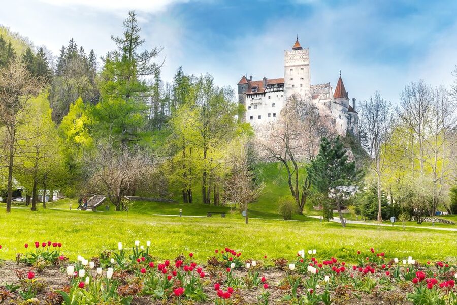 Bucharest: Day Trip to Dracula Castle, Peles Castle & Brașov - Timing, traffic, and the real length of the day