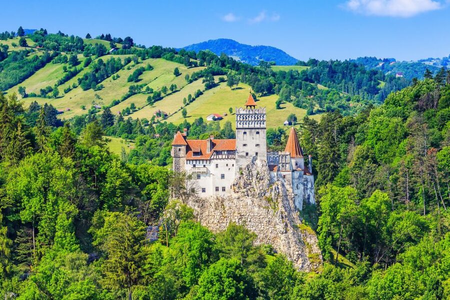 Bucharest: Day Trip to Dracula Castle, Peles Castle & Brașov - What the $45 price really covers