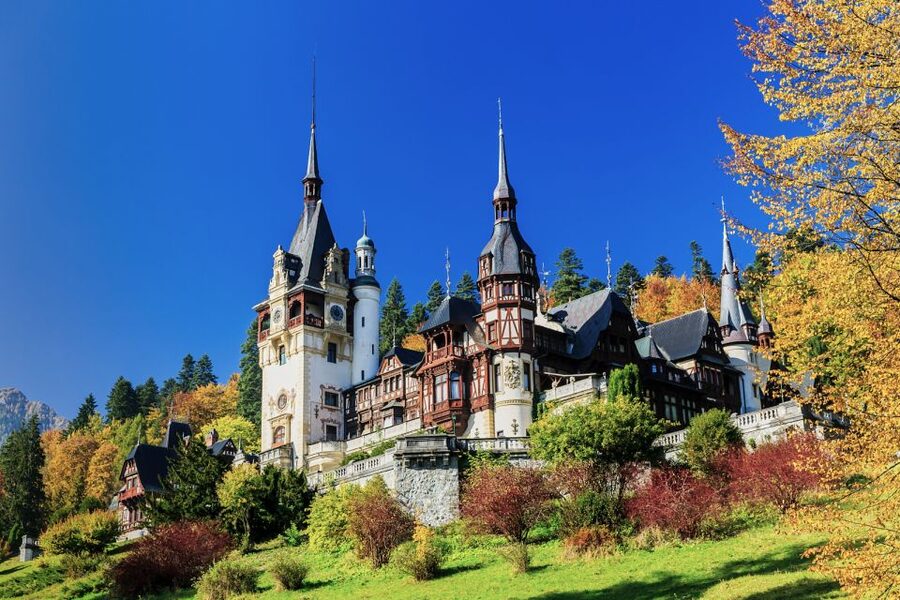 Bucharest: Dracula Castle, Peles Castle & Brasov Old Town - Guides, drivers, and the value of the coach