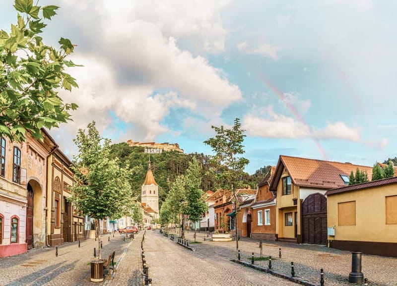 Bucharest: Dracula's Castle, Peleș Castle & Brașov Day Trip - Should you book it?
