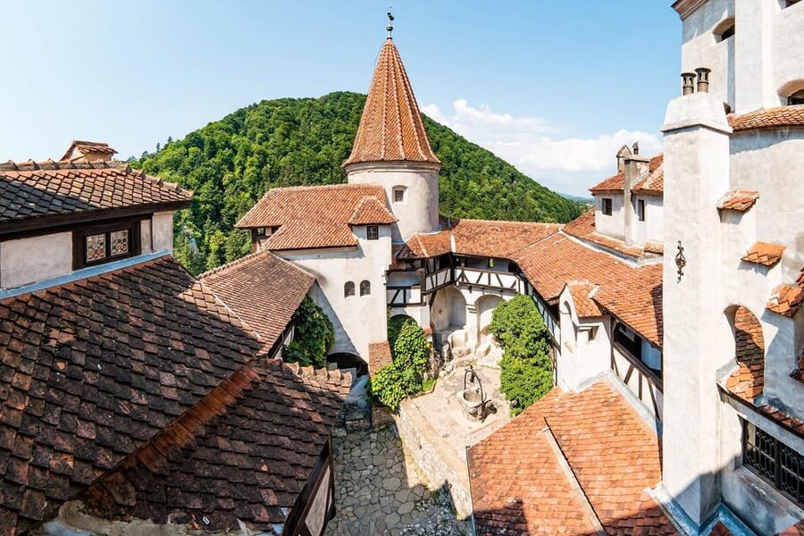 Bucharest: Peles & Dracula's Castle and Brasov Full-Day Trip - What to bring and who should book