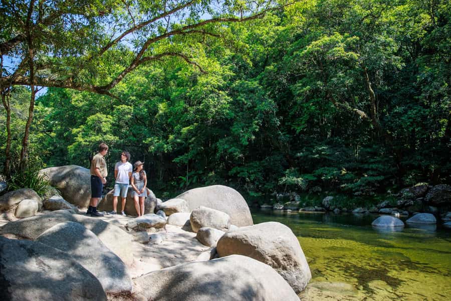 Cairns: Daintree Rainforest & Cape Tribulation Day Trip - Why this Daintree day trip works so well