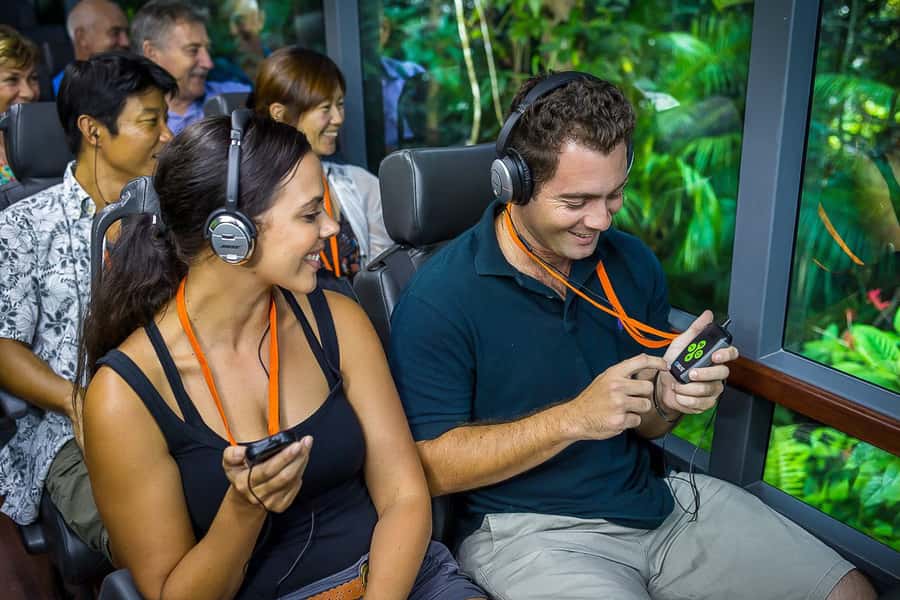 Cairns: Daintree Rainforest & Cape Tribulation Day Trip - A proper two-course lunch in the forest