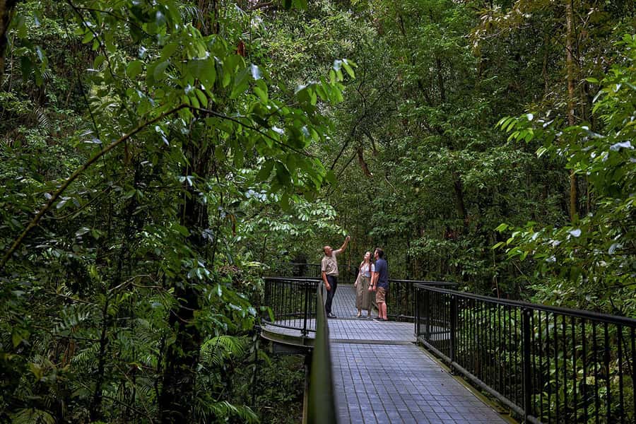 Cairns: Daintree Rainforest & Cape Tribulation Day Trip - Cape Tribulation, where forest meets the coast
