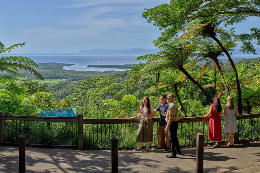 Cairns: Daintree Rainforest & Cape Tribulation Day Trip - Ice cream and Alexandra Lookout on the way back