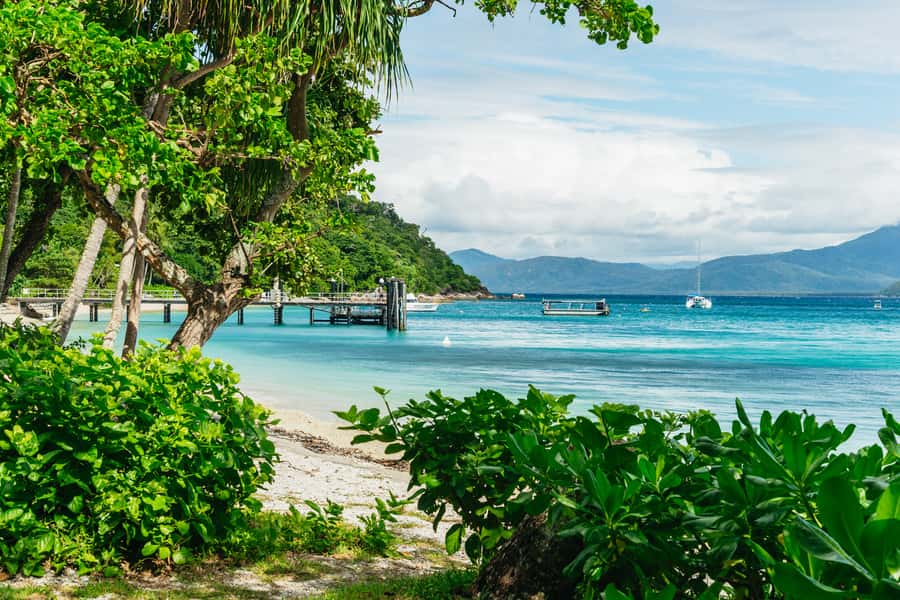 Cairns: Fitzroy Island Full-Day Trip with Optional Extras - Fitzroy Island’s rainforest trails
