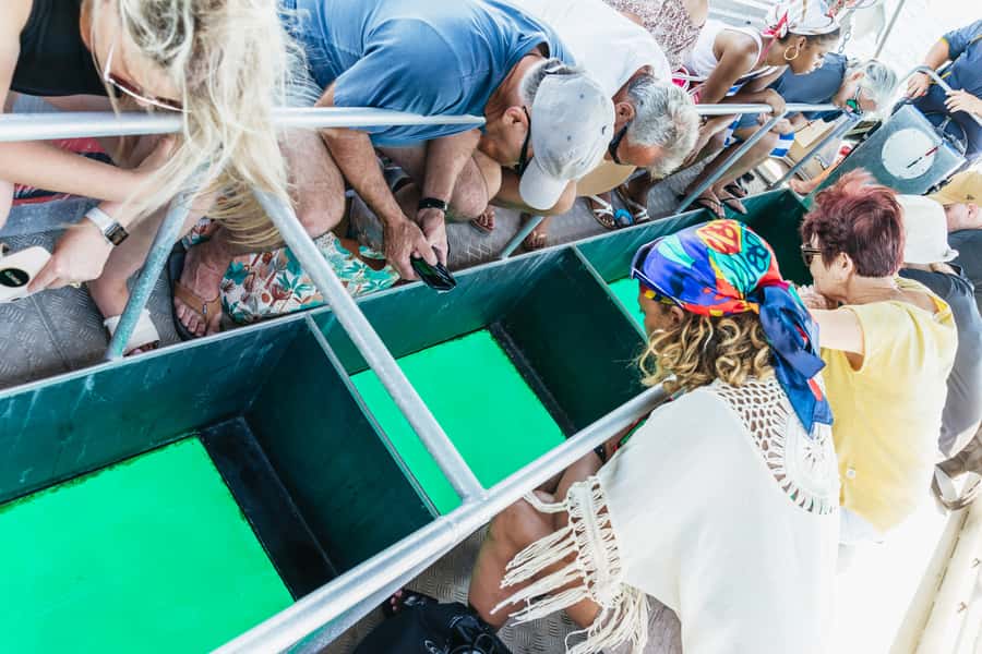 Cairns: Fitzroy Island Full-Day Trip with Optional Extras - Who will enjoy this day most?