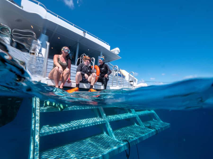 Cairns: Premium Snorkelling and Diving Reef Day Trip - Who should book this reef trip?