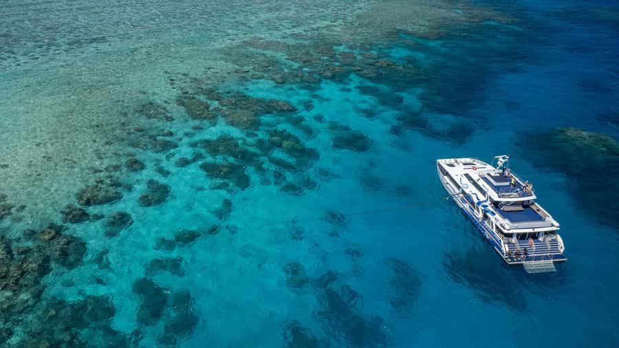 Cairns: Premium Snorkelling and Diving Reef Day Trip - Why the outer reef setting matters