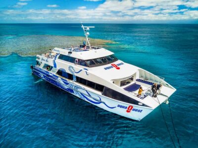 Cairns: Premium Snorkelling and Diving Reef Day Trip