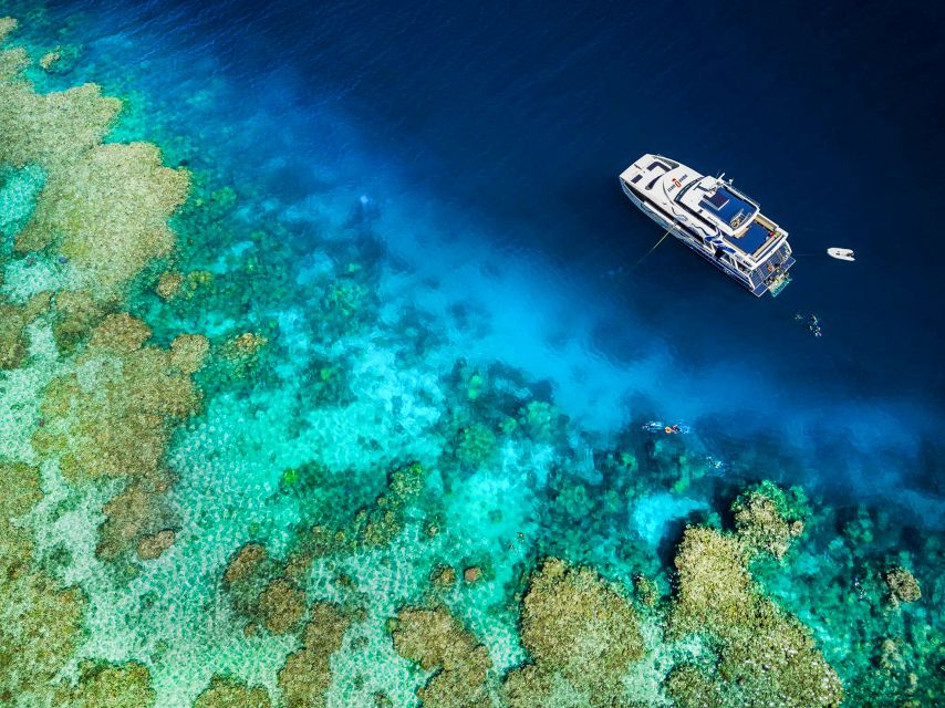 Cairns: Premium Snorkelling and Diving Reef Day Trip - First site: your longest stretch in the water