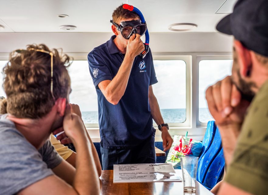 Cairns: Premium Snorkelling and Diving Reef Day Trip - Lunch and a second reef visit