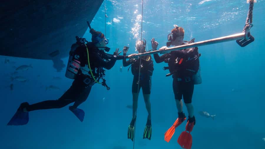 Cairns: Premium Snorkelling and Diving Reef Day Trip - What the crew does well