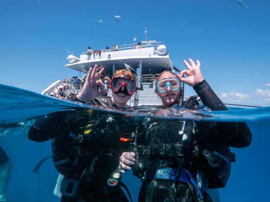 Cairns: Premium Snorkelling and Diving Reef Day Trip - Snorkeling, scuba, and equipment choices