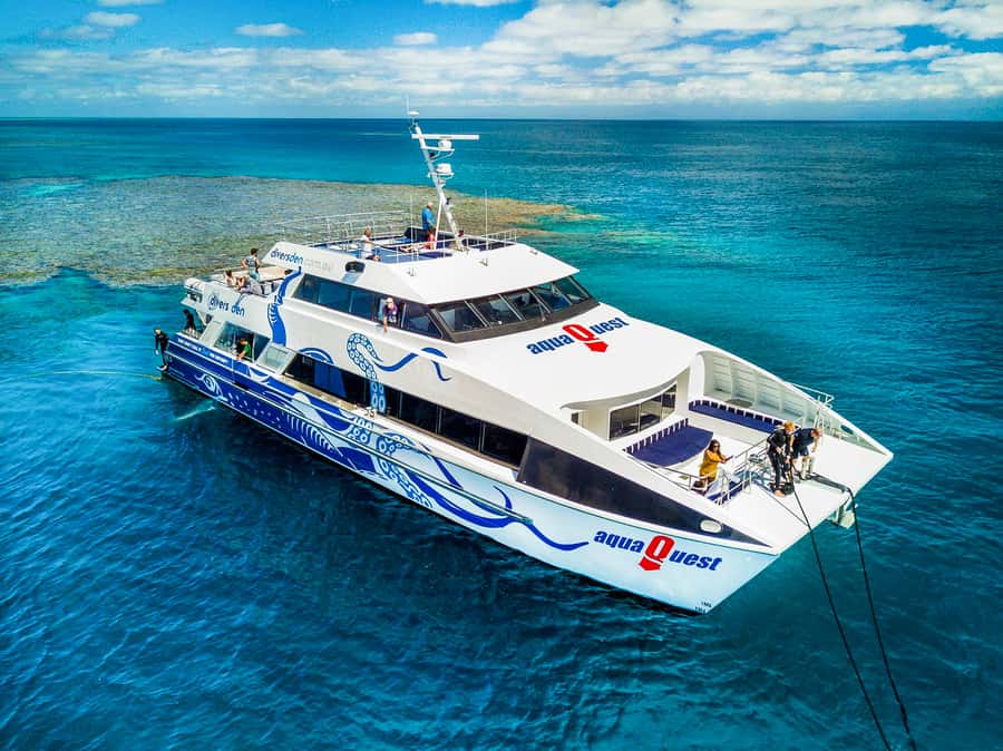 Cairns: Premium Snorkelling and Diving Reef Day Trip - The 8:00 AM start at B Finger