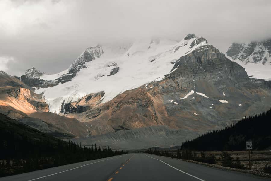 Calgary: Day Trip to Jasper with Lunch - Key points to know before booking