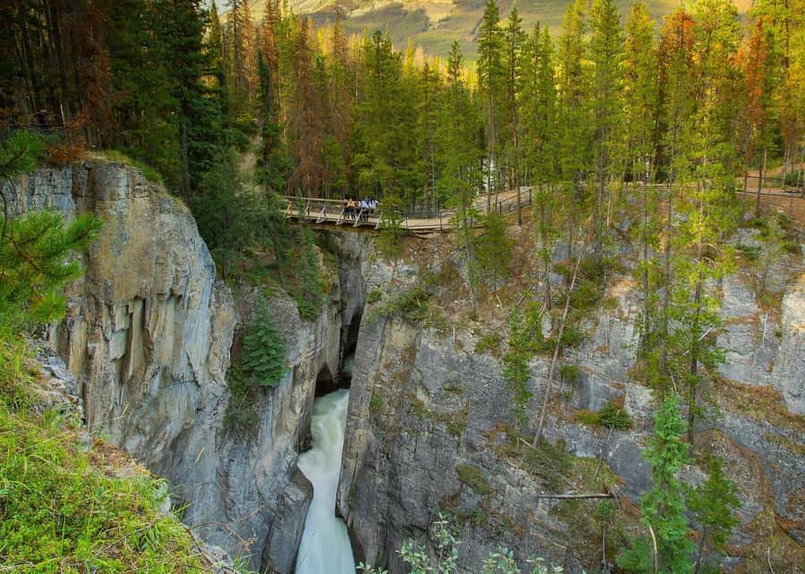 Calgary: Day Trip to Jasper with Lunch - Wildlife is possible, but never promised