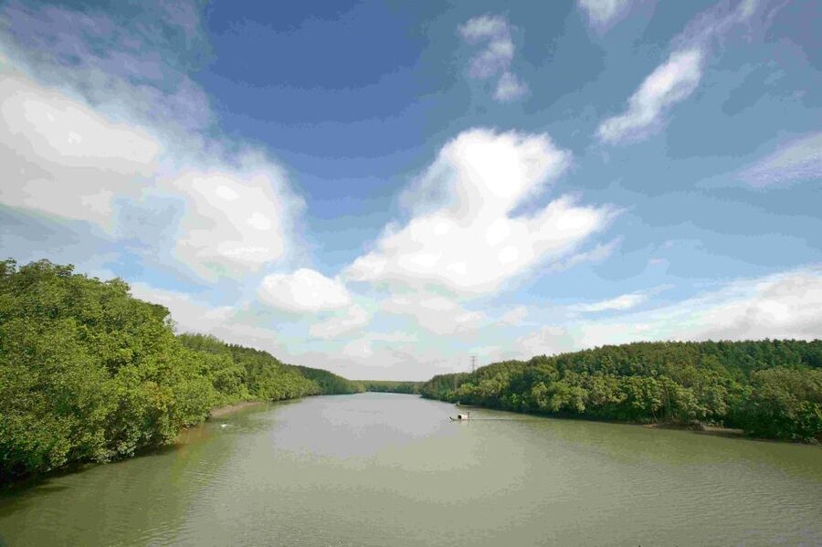 Can Gio: Discovery Vam Sat EcoPark - Can Gio Island Day Trip - The Bat Sanctuary and the quiet side of the park