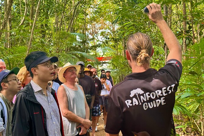 Cape Tribulation, Mossman Gorge, and Daintree Rainforest Day Trip - Lunch keeps the busy itinerary moving