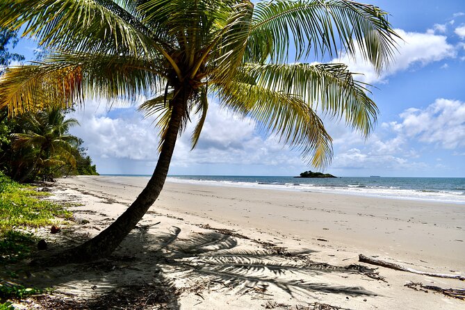 Cape Tribulation, Mossman Gorge, and Daintree Rainforest Day Trip - Dubuji Boardwalk offers the best forest walk