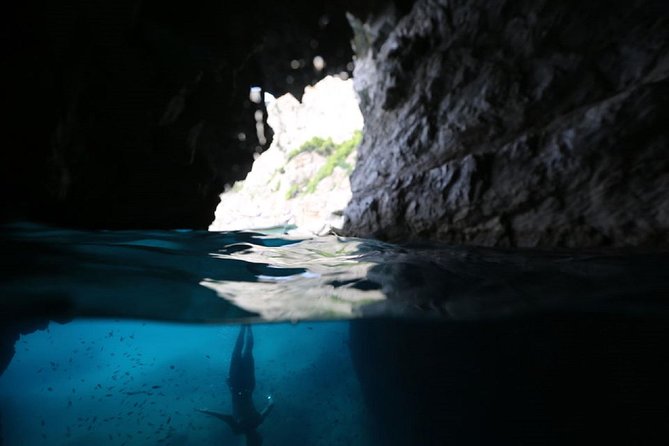 Capri & Blue Grotto Semi Private Boat Day Trip from Sorrento - Is $216.46 a fair price?