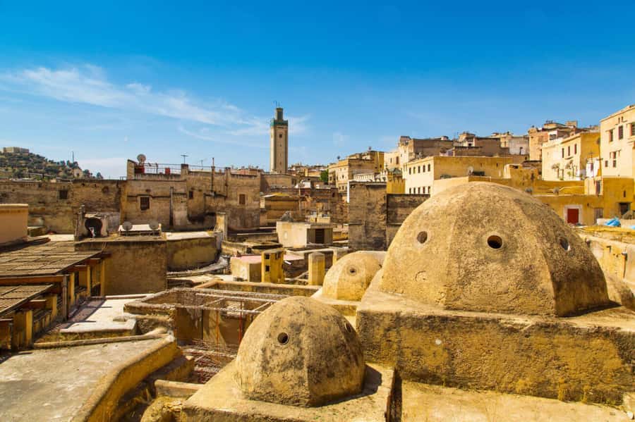 Casablanca to Fez: Scenic & Historical Day Trip with Lunch - Transport, group size, and guide quality