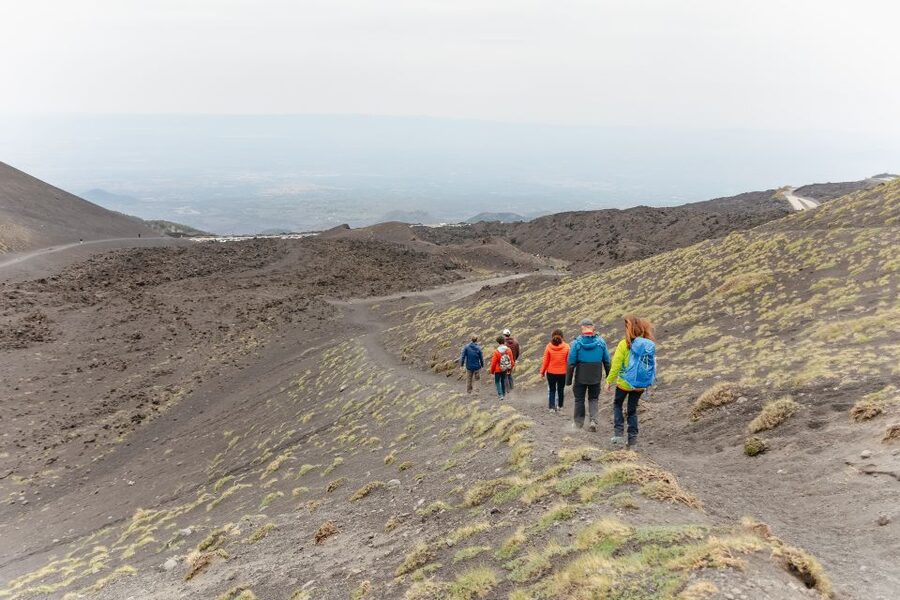 Catania: Mount Etna Morning or Sunset Day Trip with Tasting - What the $70 price includes