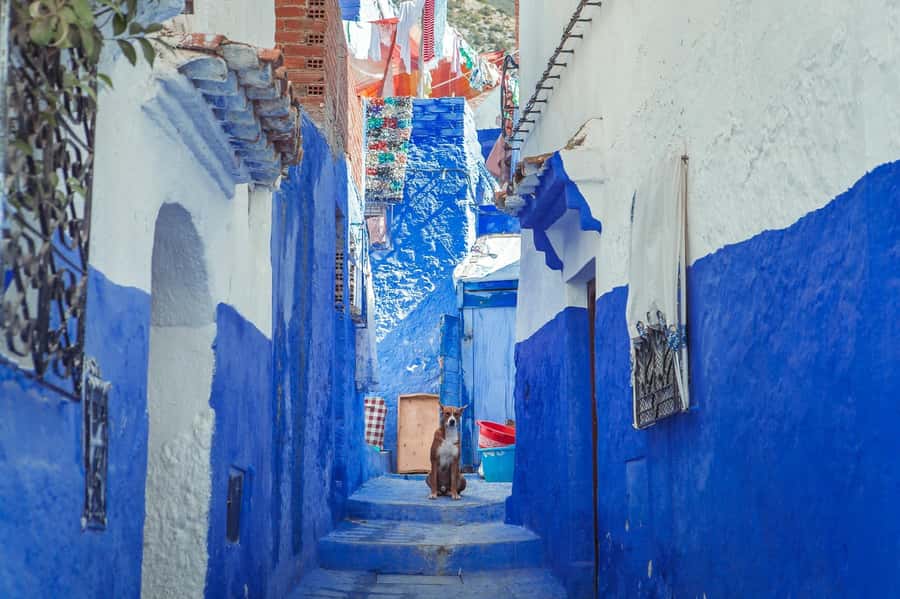 Chefchaouen Day Trip from Fez (Shared Group Tour) - The four-hour road from Fez to the Rif Mountains