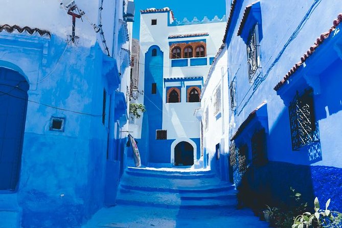 Chefchaouen Private Day Trip From Fes - From Fez to the blue streets of Chefchaouen
