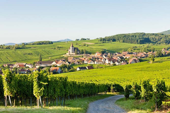 Colmar, Medieval Village & Castle Small Group from Strasbourg - Is $241.86 a fair price?