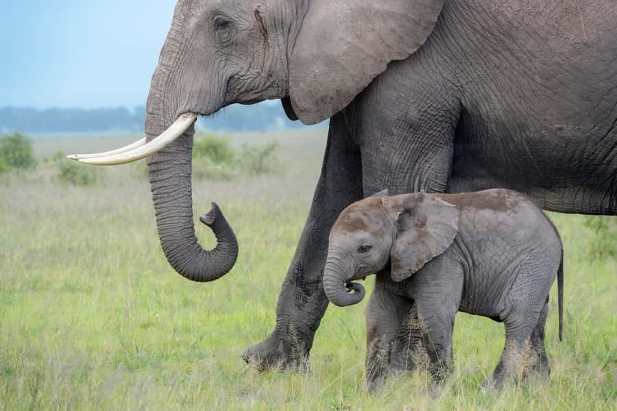 Day Trip: Amboseli National Park & Maasai Village – Nairobi - The early road from Nairobi to Amboseli