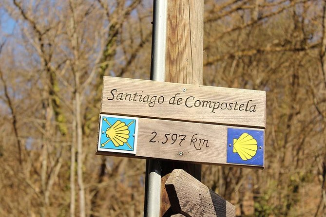 Day Trip from Porto to Santiago de Compostela and Valença - Transport, group size, and comfort