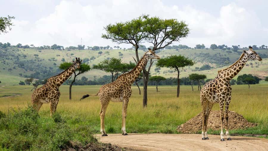 Day Trip: Hell's Gate Bike Ride & Lake Naivasha Boat Ride - Hell’s Gate Gorge and its volcanic rock formations