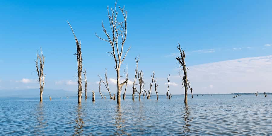 Day Trip: Hell's Gate Bike Ride & Lake Naivasha Boat Ride - What the $34 price really covers