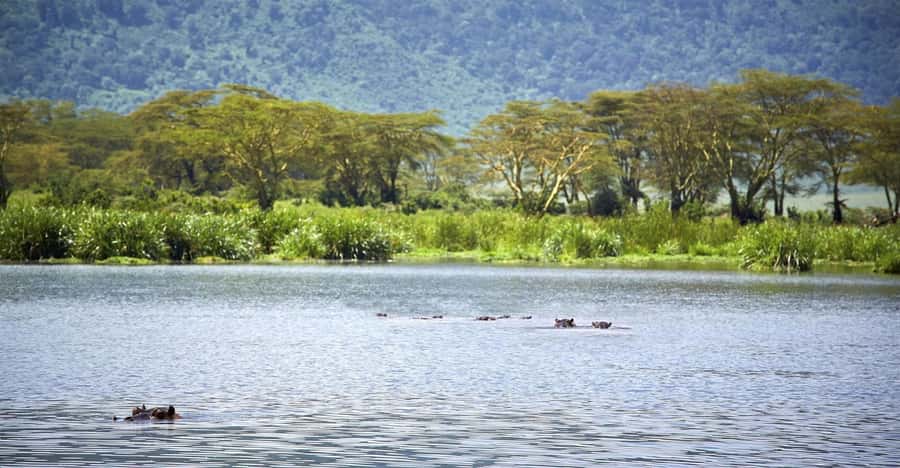 Day Trip: Hell's Gate Bike Ride & Lake Naivasha Boat Ride - Should you book the Hell’s Gate and Naivasha day trip?
