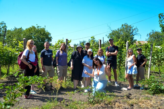 Day Trip to Kakheti Wine Region Including 9 Wine Tastings - Georgian lunch above the Alazani Valley