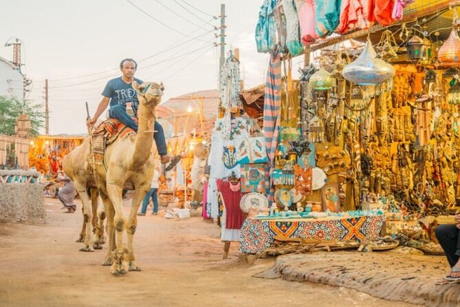 Day Trip to Nubian Village with Camel Tour from Aswan - Getting the most from the two-hour schedule