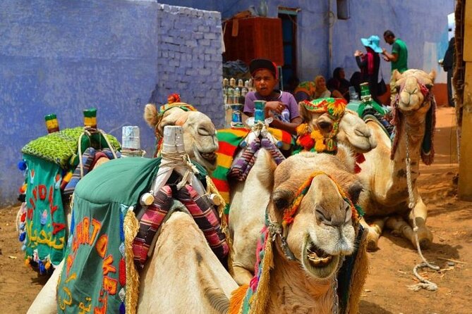 Day Trip to Nubian Village with Camel Tour from Aswan - Walking through the village for a short visit