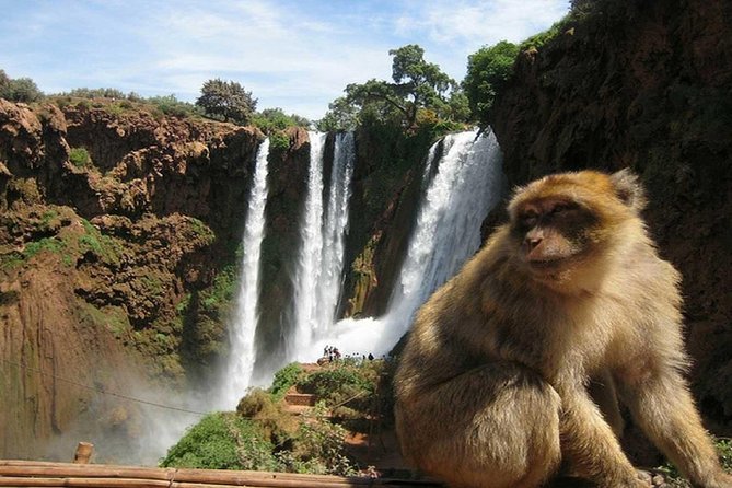Day Trip To Ouzoud Waterfalls (Guide Hike & Boat are options) - The boat ride from below the falls