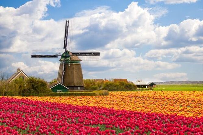 Day Trip to Zaanse Schans, Edam, Volendam and Marken from Amsterdam - Zaanse Schans: windmills in the opening 45 minutes