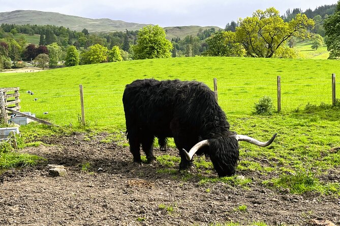 Edinburgh: Loch Ness, Glencoe & The Highlands - Pitlochry Brings the Day Toward Home