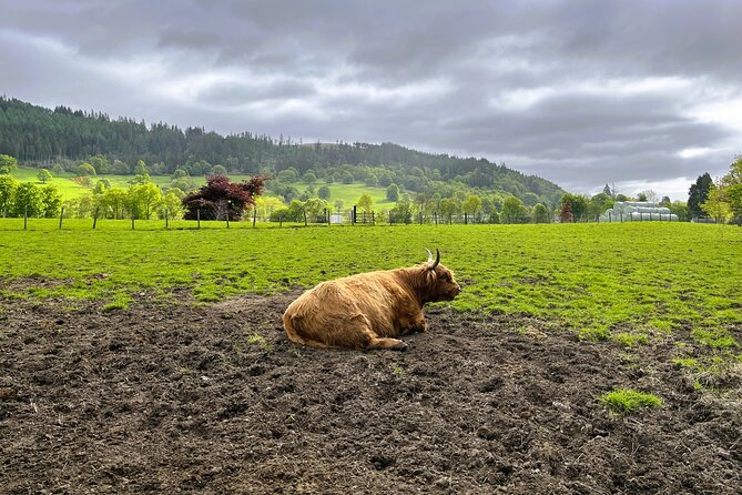 Edinburgh: Loch Ness, Glencoe & The Highlands - What the Guides Add to the Day
