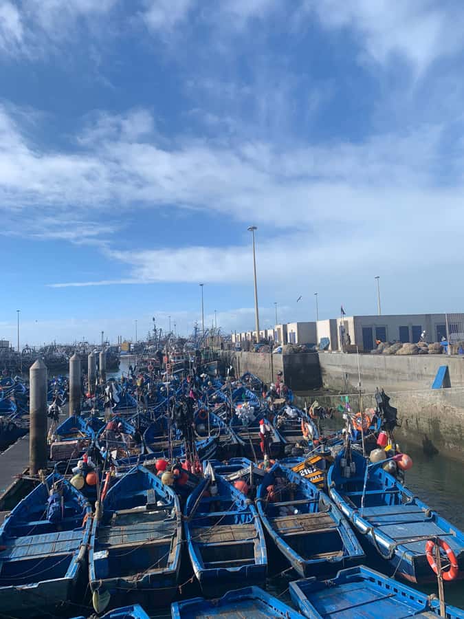 Essaouira City day Trip from Marrakech - Key points to know before booking